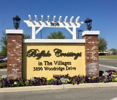 buffalo crossing the villages